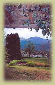 View from Diana's studio